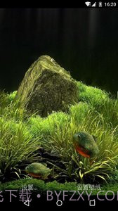 3D食人鱼:梦象动态壁纸截图3 3D食人鱼:梦象动态壁纸截图3