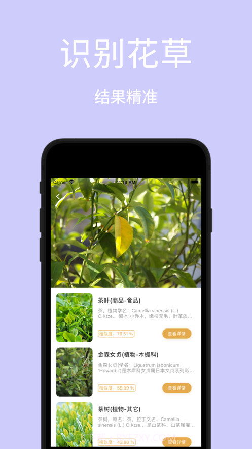 AI识图-植物识别识字识车识手写字截图2