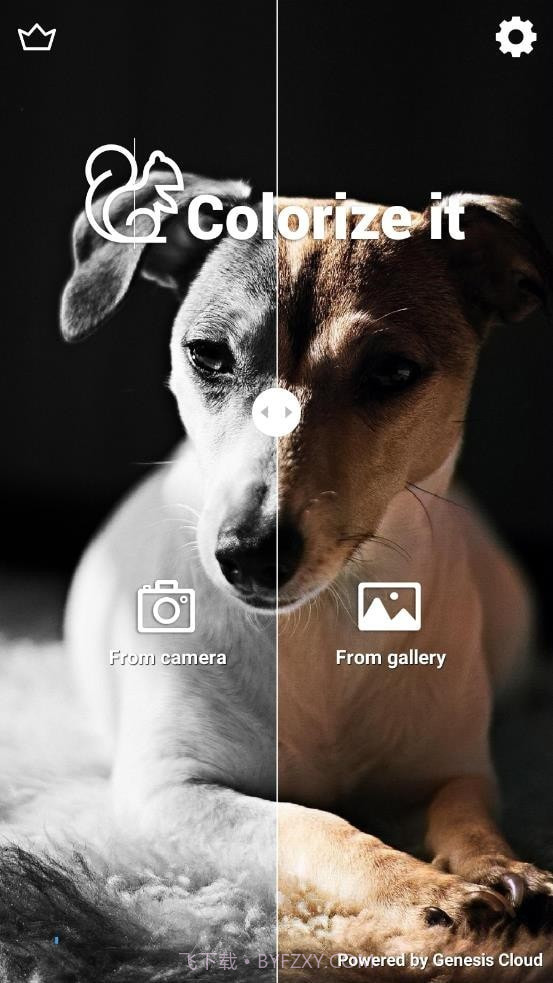 Colorize It截图2 Colorize It截图2