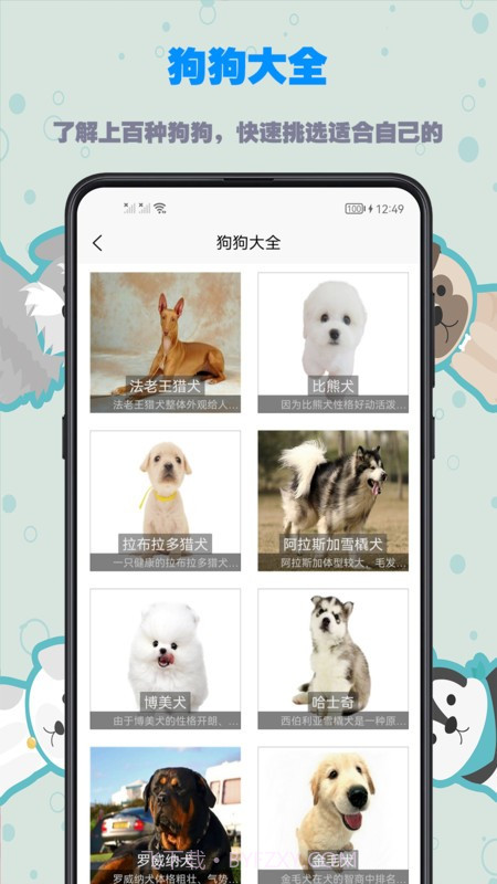 训狗教程截图3