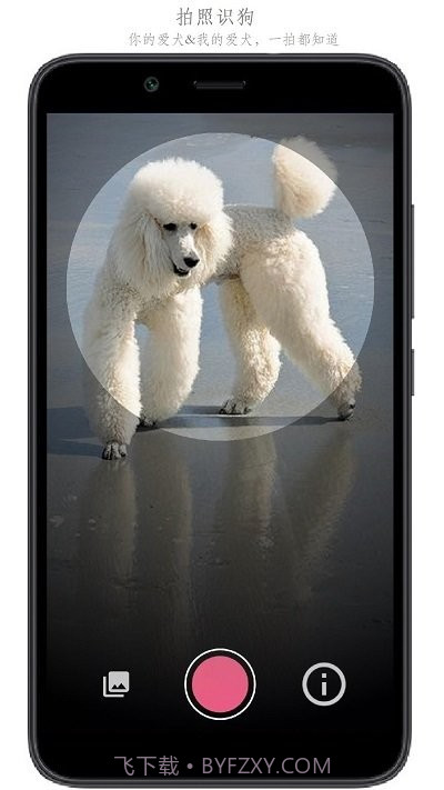 万物识别截图3