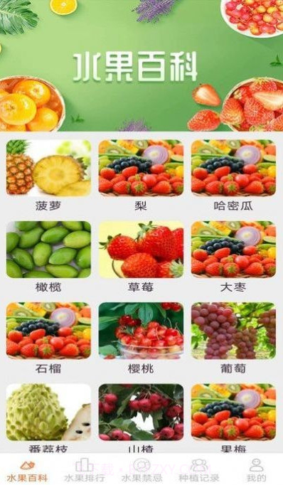 果果多点截图1 果果多点截图1