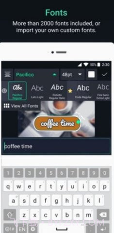 Alight Motion凌风汉化版截图1