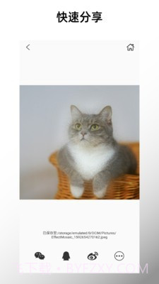 特效马赛克截图4 特效马赛克截图4