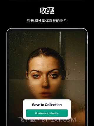 pexels截图2 pexels截图2