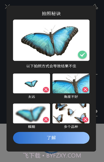 昆虫识别图鉴扫一扫截图2