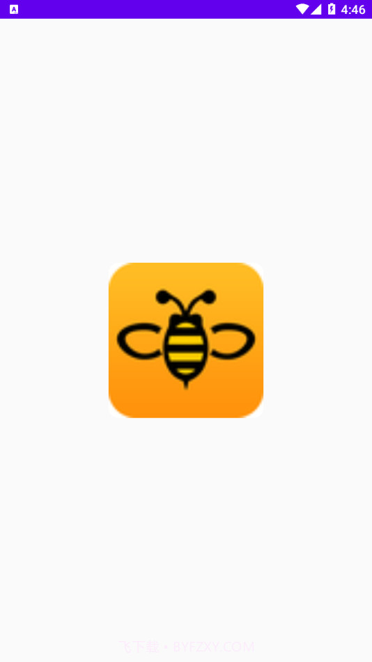 轻蜂网络助手截图4