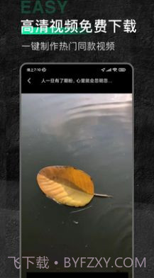 口袋今日素材截图2