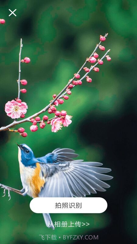 识物通截图3