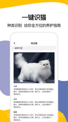 猫语翻译大全截图4