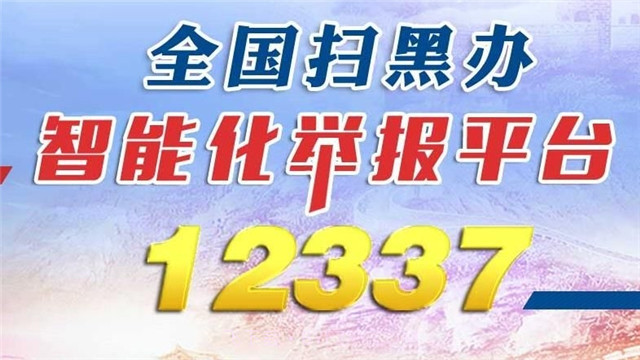 12337全国扫黑办智能化举报正式版平台截图2