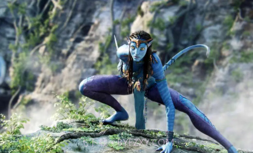 星视界TV电视版截图3