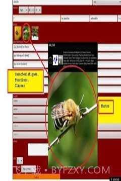 ABA自闭症教育截图3