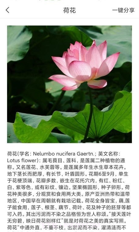 拍照识物全能王截图1 拍照识物全能王截图1