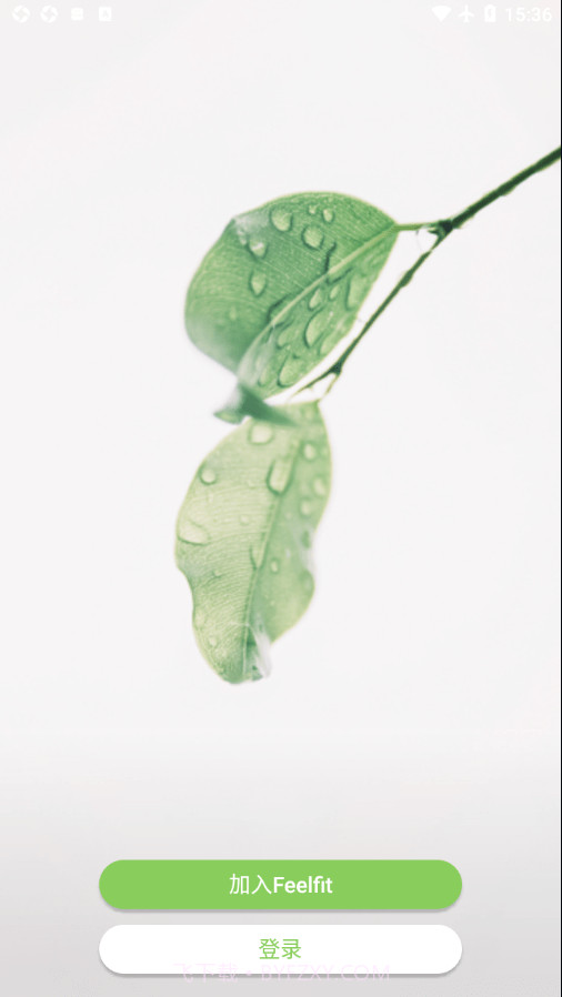 Feelfit截图1