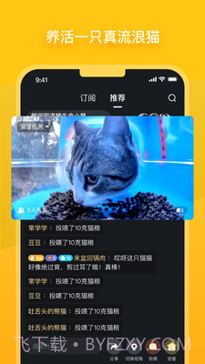 哈啰街猫截图1 哈啰街猫截图1