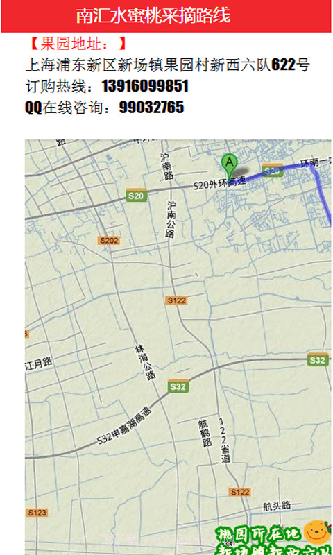 南汇水蜜桃手机网截图4 南汇水蜜桃手机网截图4
