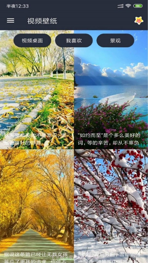 动漫视频壁纸截图3