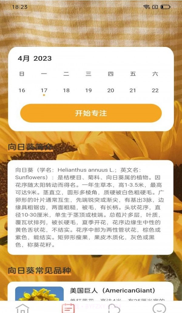 百花步数截图2 百花步数截图2