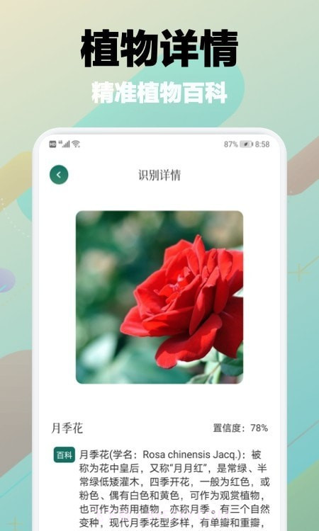 树林记忆截图2 树林记忆截图2