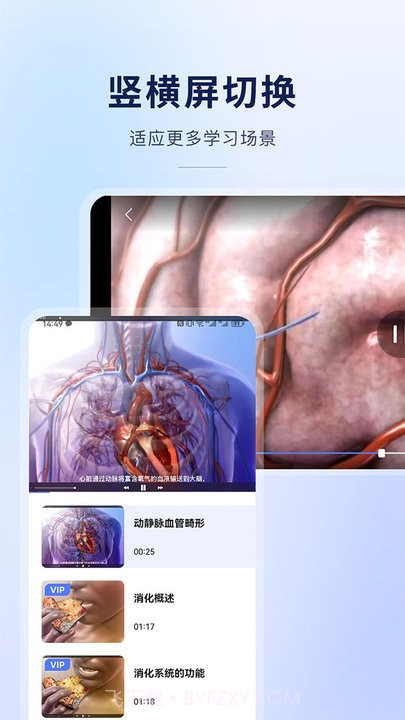 3d人体结构互动解刨截图1