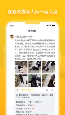 哈啰街猫截图4 哈啰街猫截图4