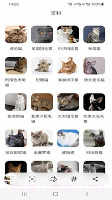 小猫先生截图1