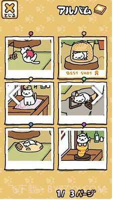 猫咪后院下载中文版截图3