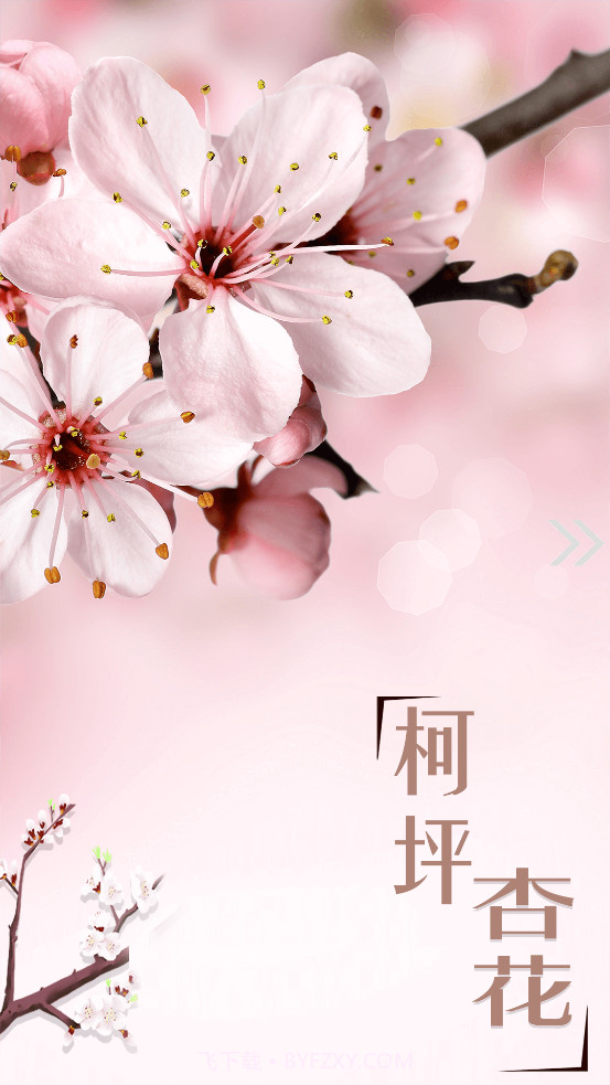 柯坪好地方截图2 柯坪好地方截图2