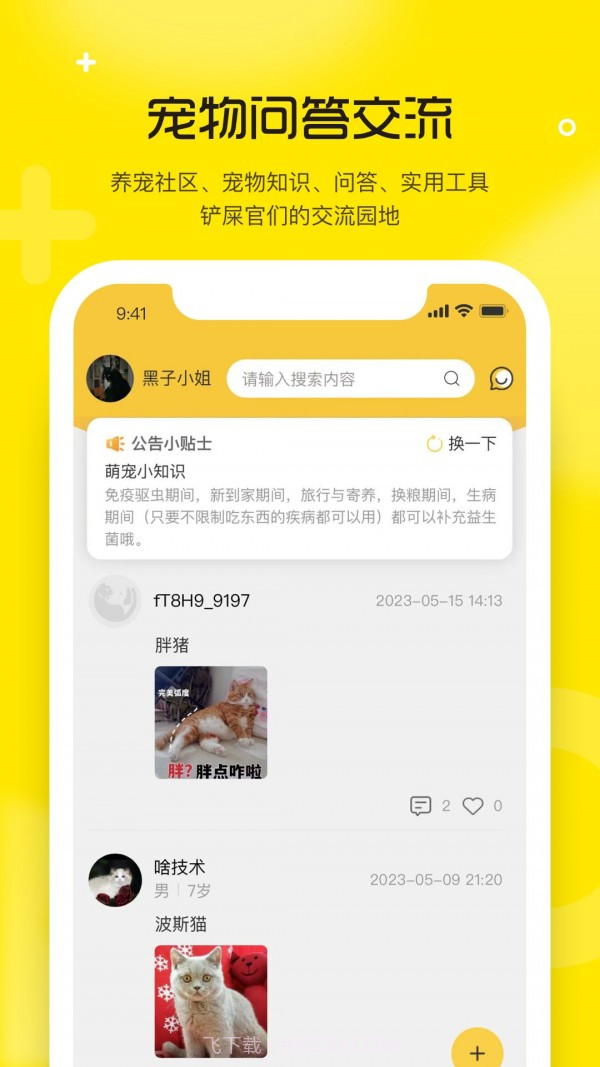 宠宝截图4 宠宝截图4