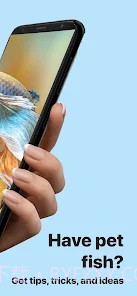 Picture Fish鱼类识别截图2 Picture Fish鱼类识别截图2