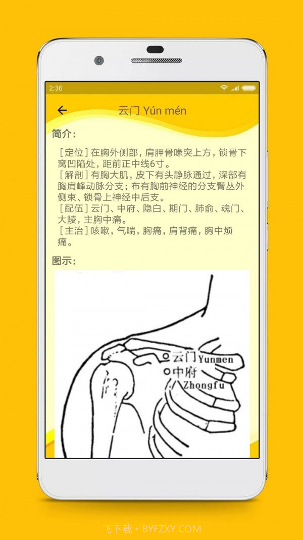 人体穴位图解软件截图3