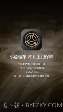 PP车截图1