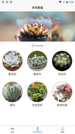 肉叶汉字拼音截图1