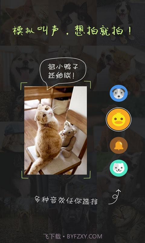 萌宠相机截图2