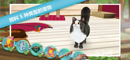 猫舍截图1 猫舍截图1