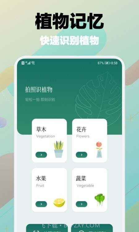 树林记忆截图3 树林记忆截图3