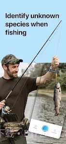 Picture Fish鱼类识别截图3 Picture Fish鱼类识别截图3