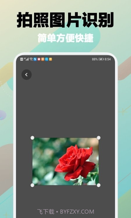 树林记忆截图1 树林记忆截图1