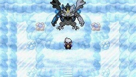 口袋妖怪解放2.0.3汉化版截图2 口袋妖怪解放2.0.3汉化版截图2