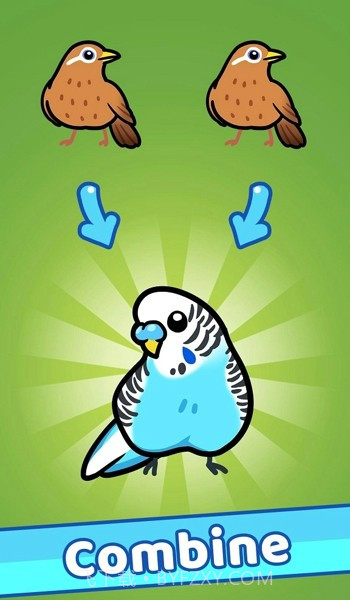 放置鸟乐园截图2