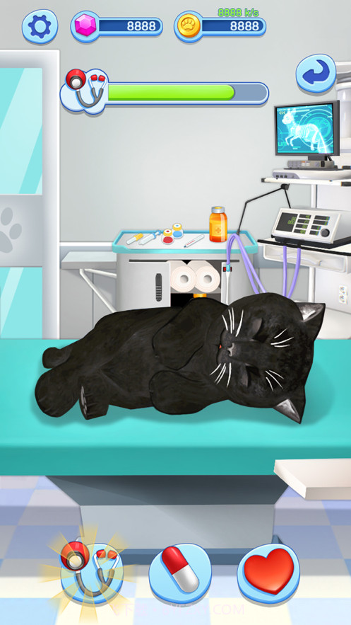 宠物大乐园截图4