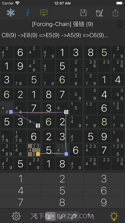 ice sudoku截图2