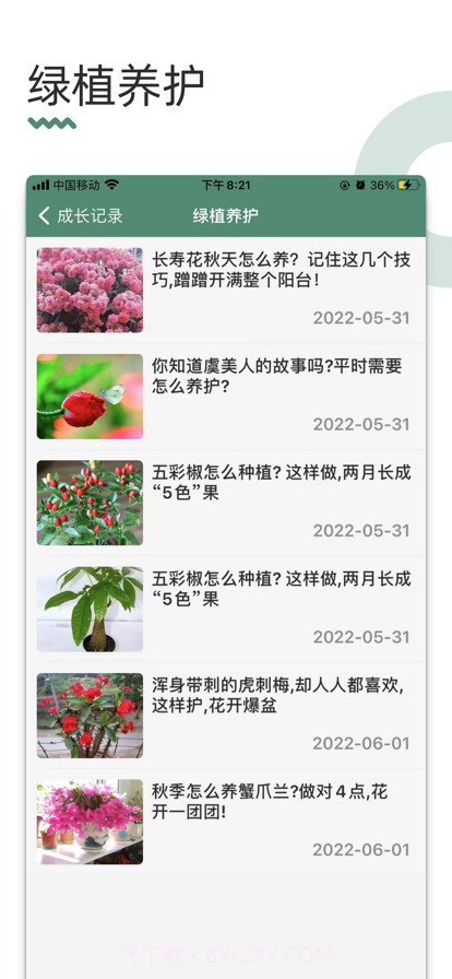 禾斗绿植截图2