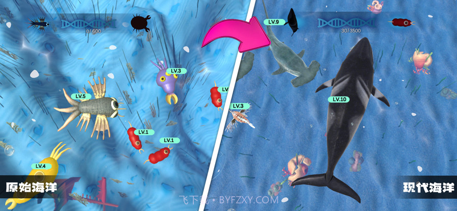 物种进化模拟器截图5