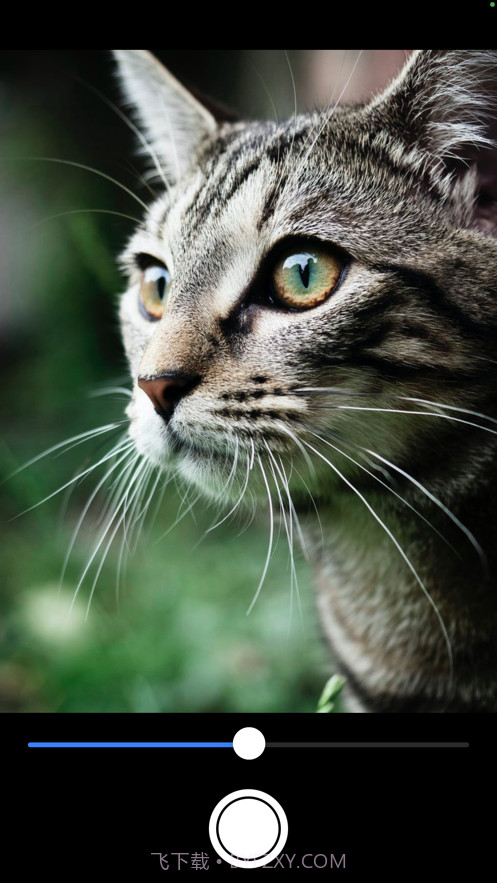 DepthCamera截图1 DepthCamera截图1