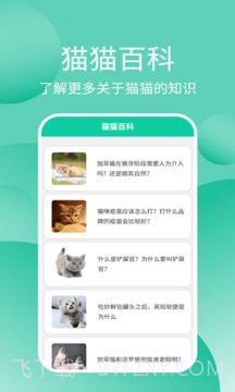 猫猫交流工具截图4