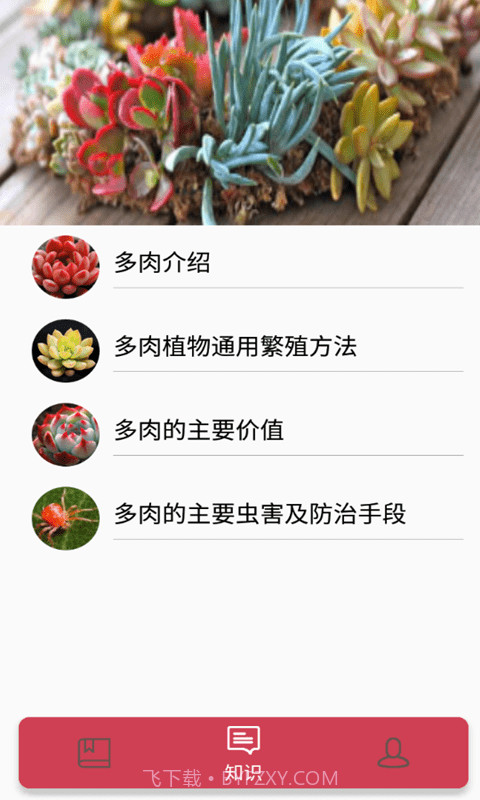 花草多肉日记截图2 花草多肉日记截图2