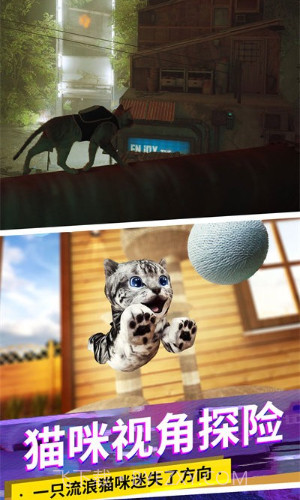 猫咪城市模拟器截图2 猫咪城市模拟器截图2