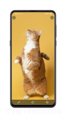 纸塘壁纸截图2 纸塘壁纸截图2